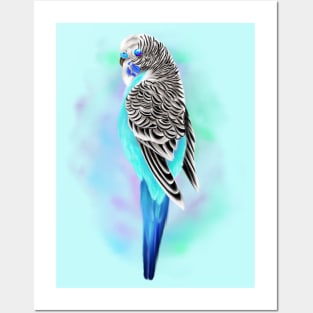 Blue budgie Posters and Art